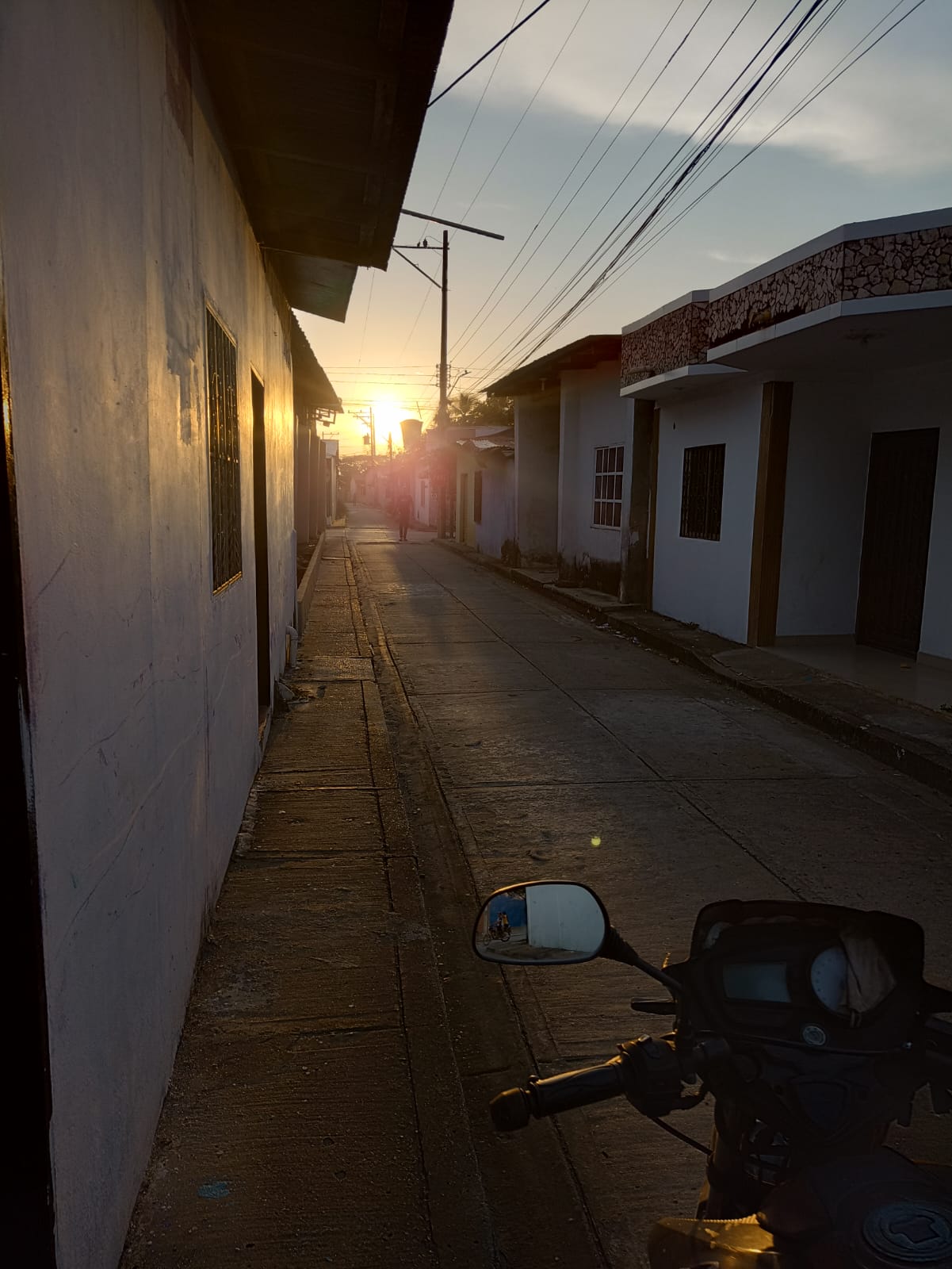 Tardes mojaneras / 10/03/26